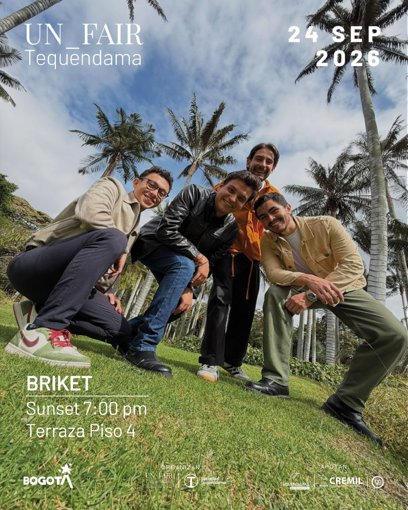 briket-2